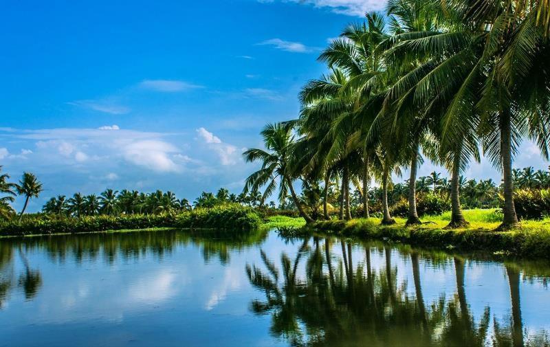 Golden Beach Home Stay Alappuzha Exterior photo